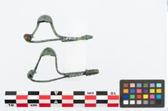 Foto von Bronzepaukenfibel (NHMW-PRAE-026418)